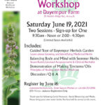 Herbal Medicine Workshop