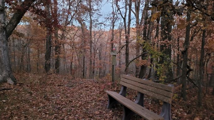 Open House at War Bluff Valley Wildlife Sanctuary