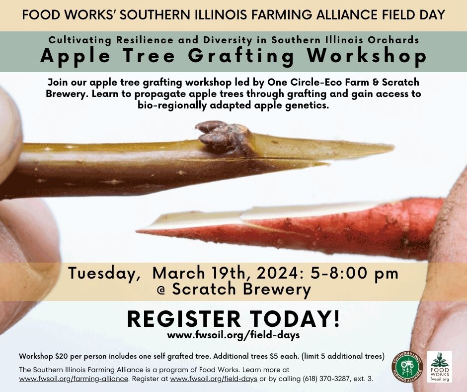 Apple Tree Grafting Workshop