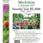 Herbal Medicine Workshop